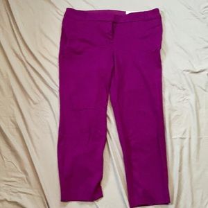 Lane Bryant: Purple ankle pants